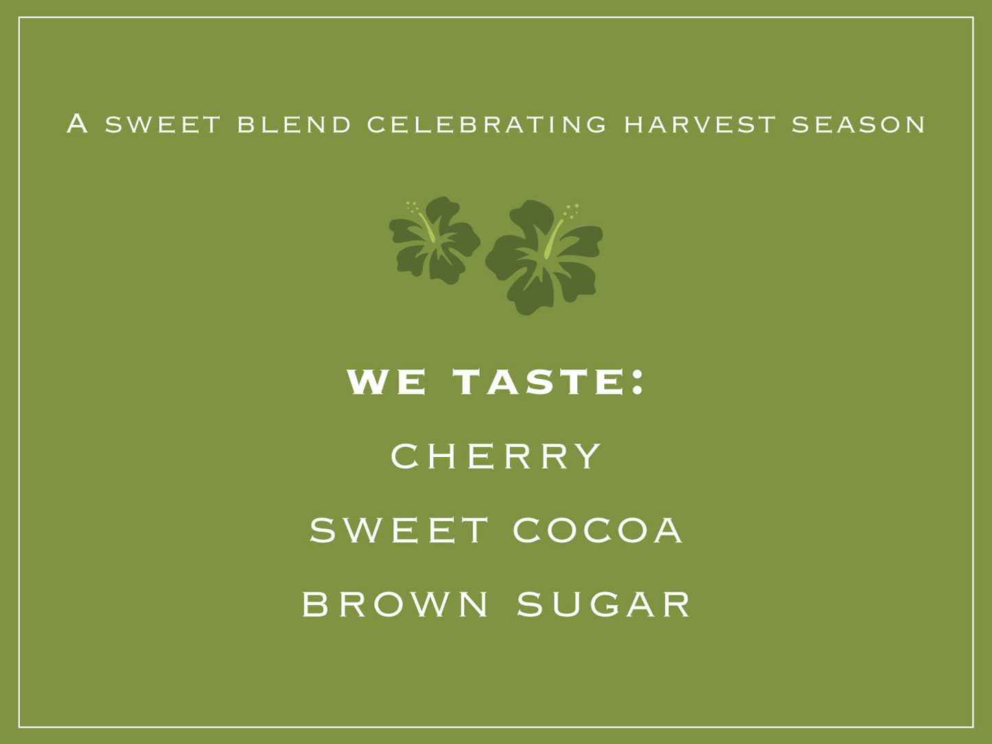 A sweet blend celebrating harvest season. WE TASTE: CHERRY, SWEET COCOA, BROWN SUGAR