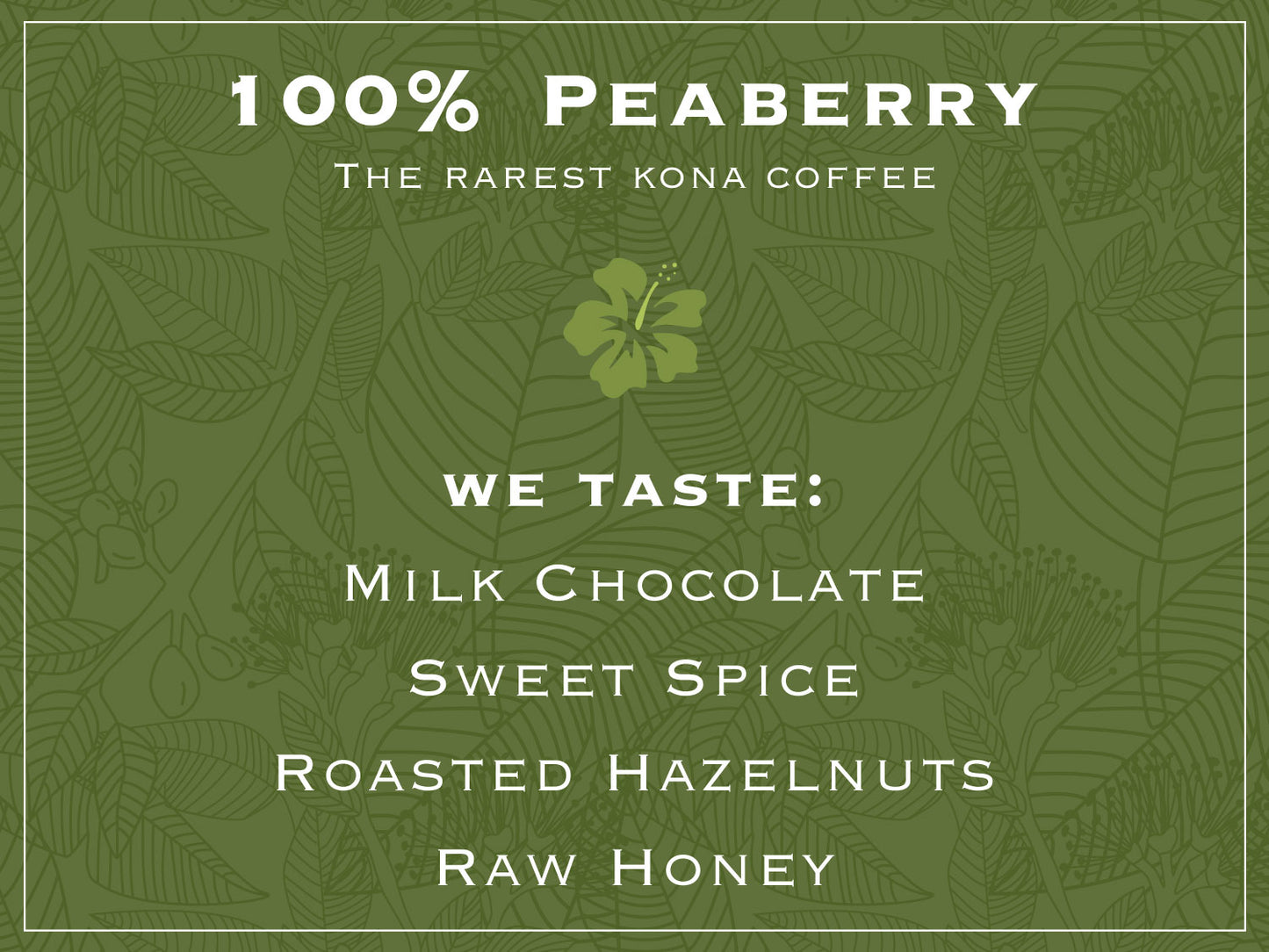 100% PEABERRY. The rarest kona coffee. WE TASTE: MILK CHOCOLATE, SWEET SPICE, ROASTED HAZELNUTS, RAW HONEY