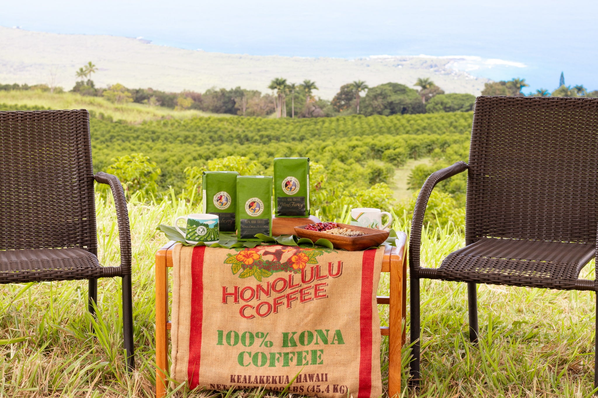 Podcast set up at Honolulu Coffee's Kona farm with chairs and farm to cup display