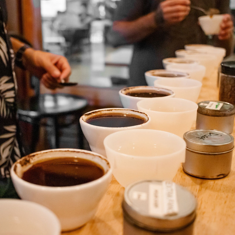 Coffee cupping bowls lined up on a table