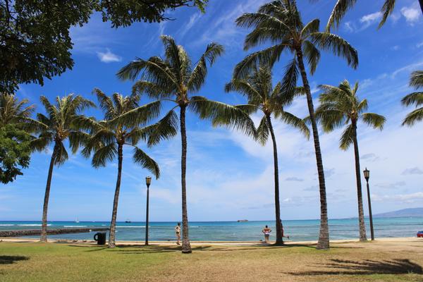 Extend Vacation Memories While Sipping Hawaiian Coffee At Home