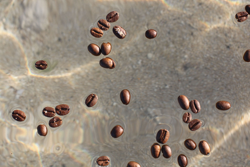 How Do You Brew Kona Coffee? Chemex vs. Kalita