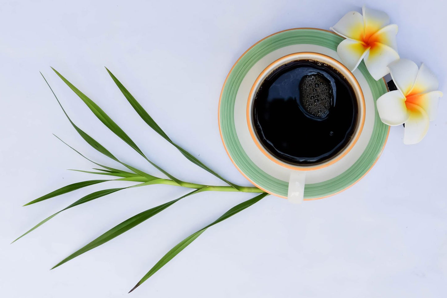 Freshly brewed Kona coffee in a green mug and a sprig of a plant leaf next to it