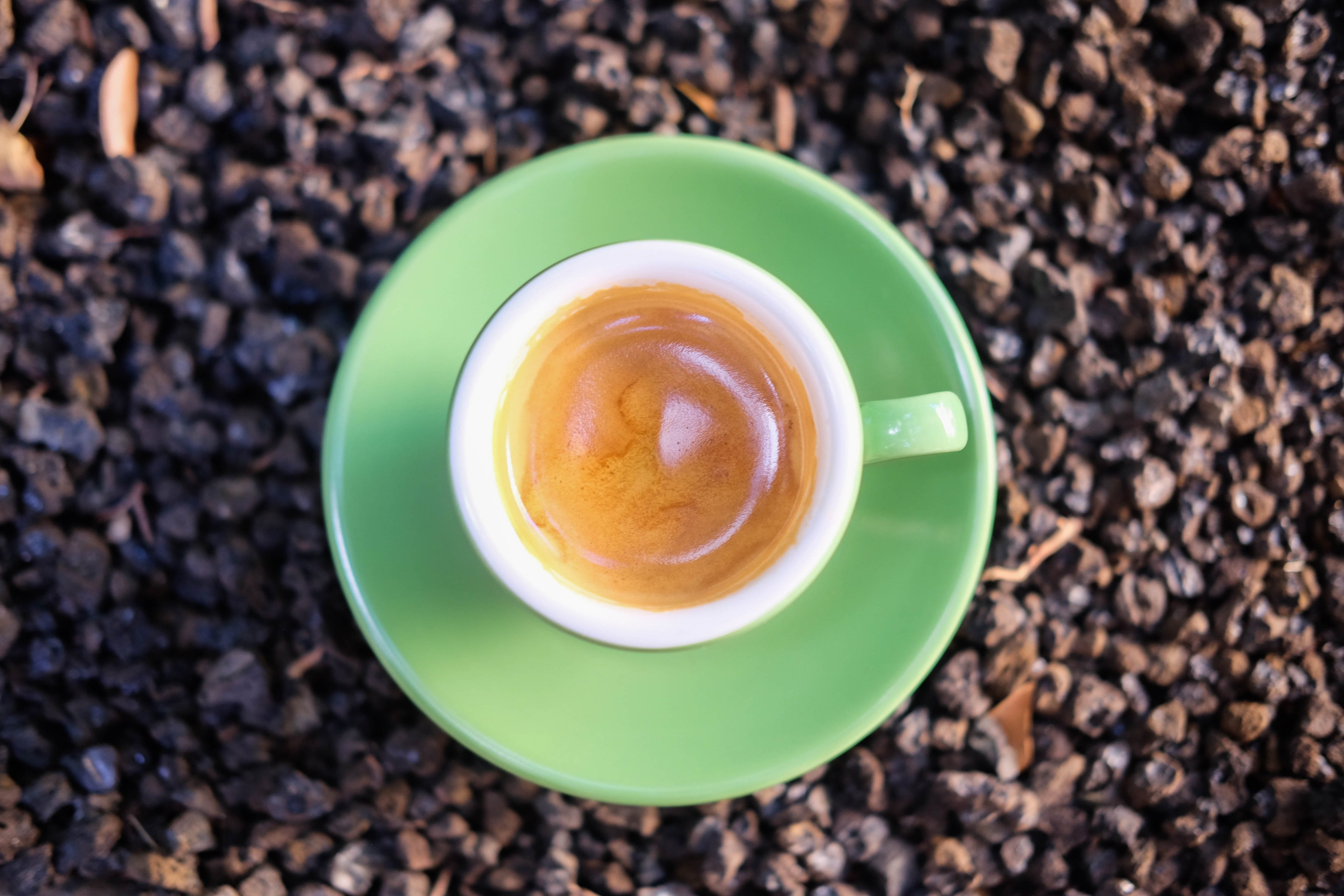 A cup of our Lokahi espresso blend sitting on rocks