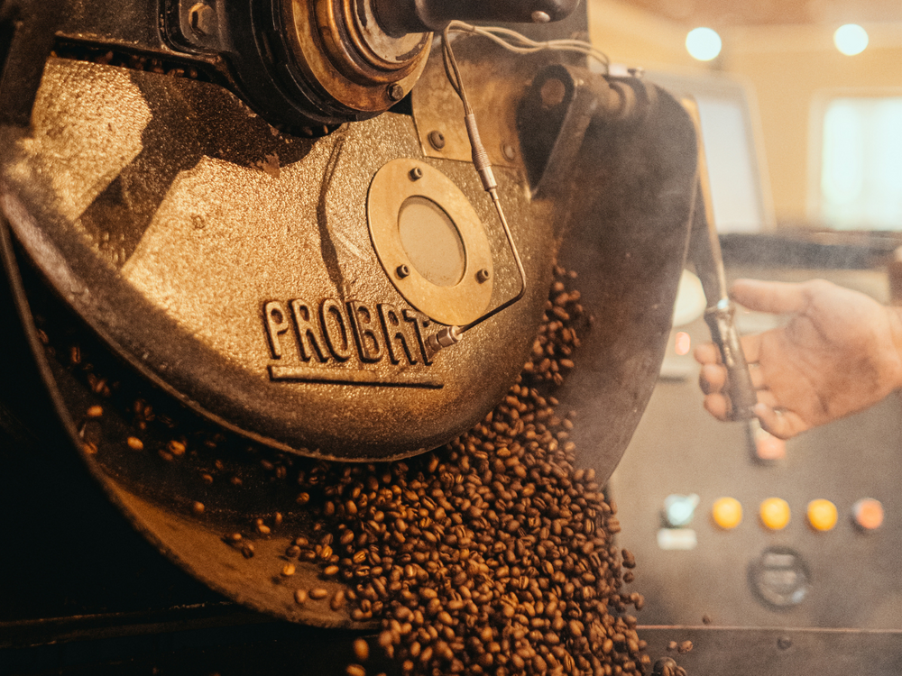 Roasting Kona coffee beans in a vintage Probat roaster