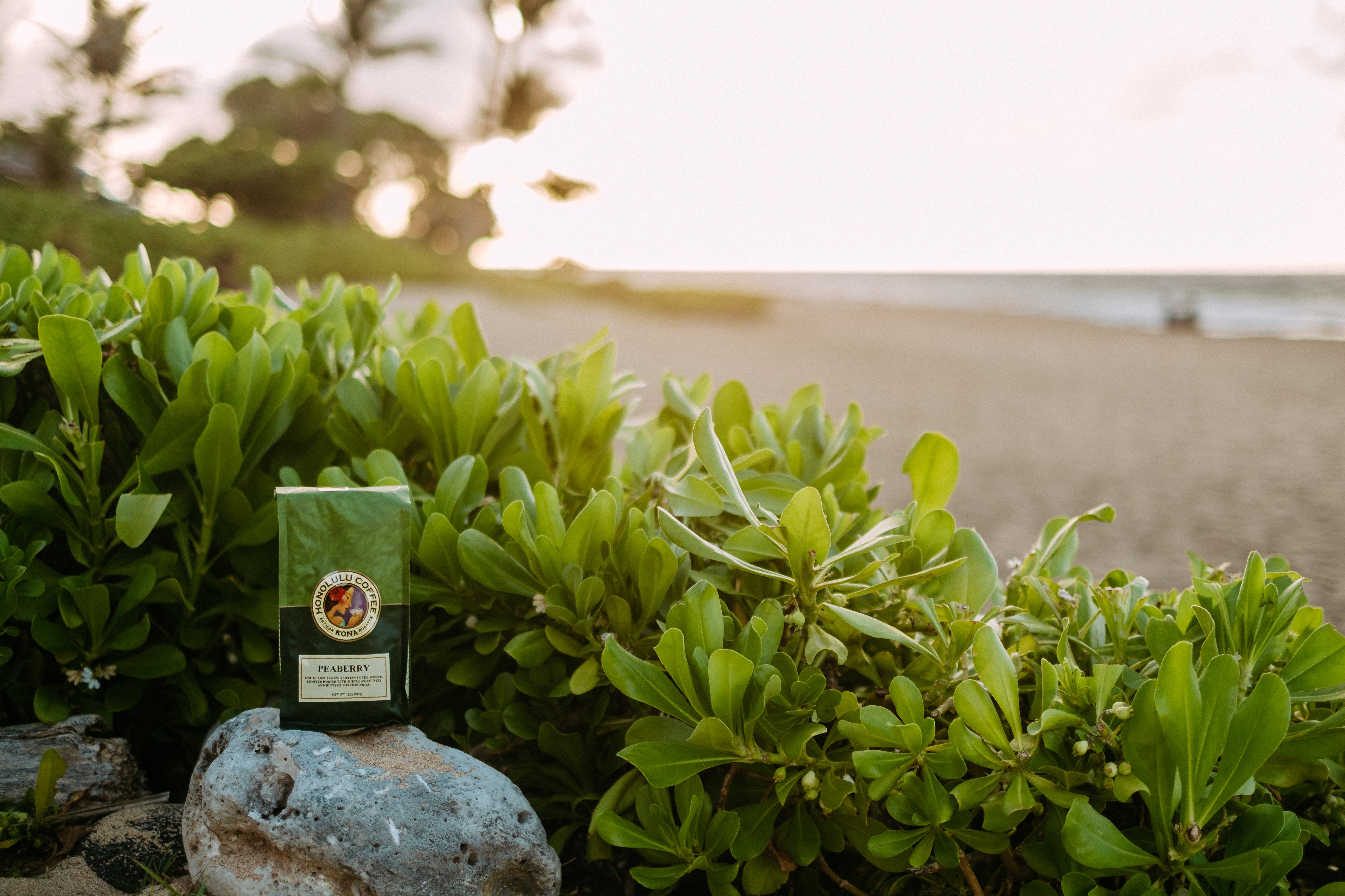 Kona Coffee Subscriptions | Honolulu Coffee