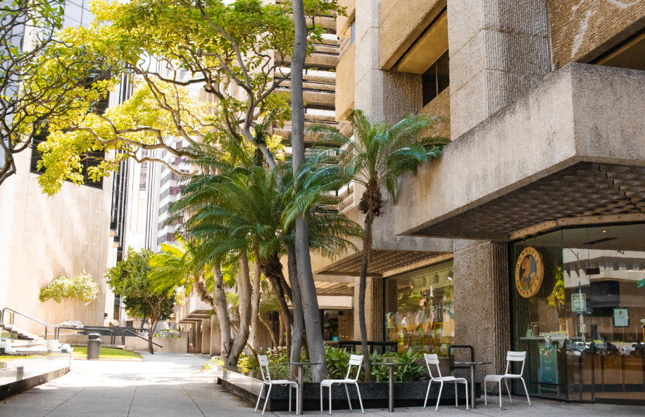 Urban street scene with palm trees, buildings, and outdoor seating area.