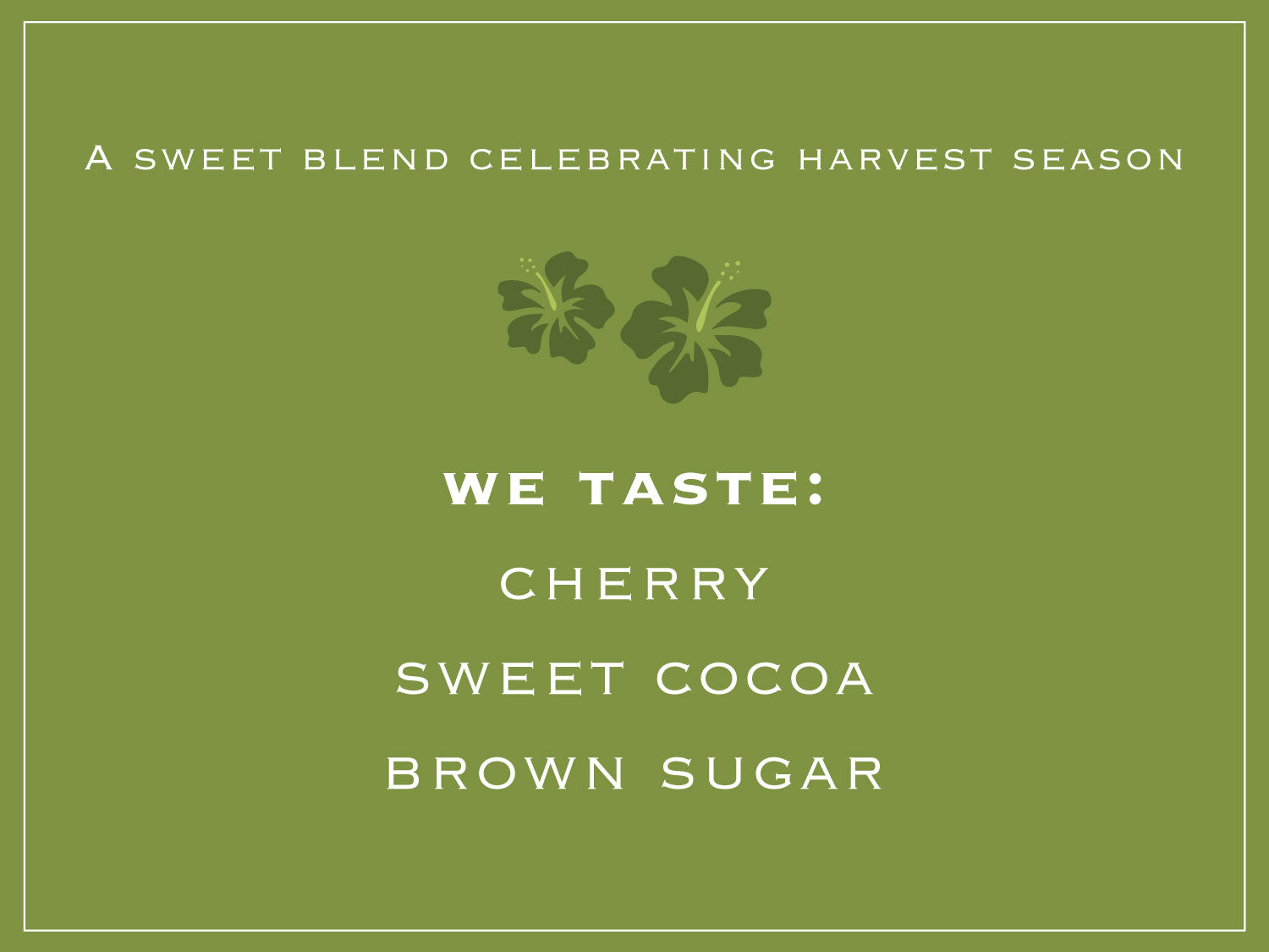 A sweet blend celebrating harvest season. WE TASTE: CHERRY, SWEET COCOA, BROWN SUGAR