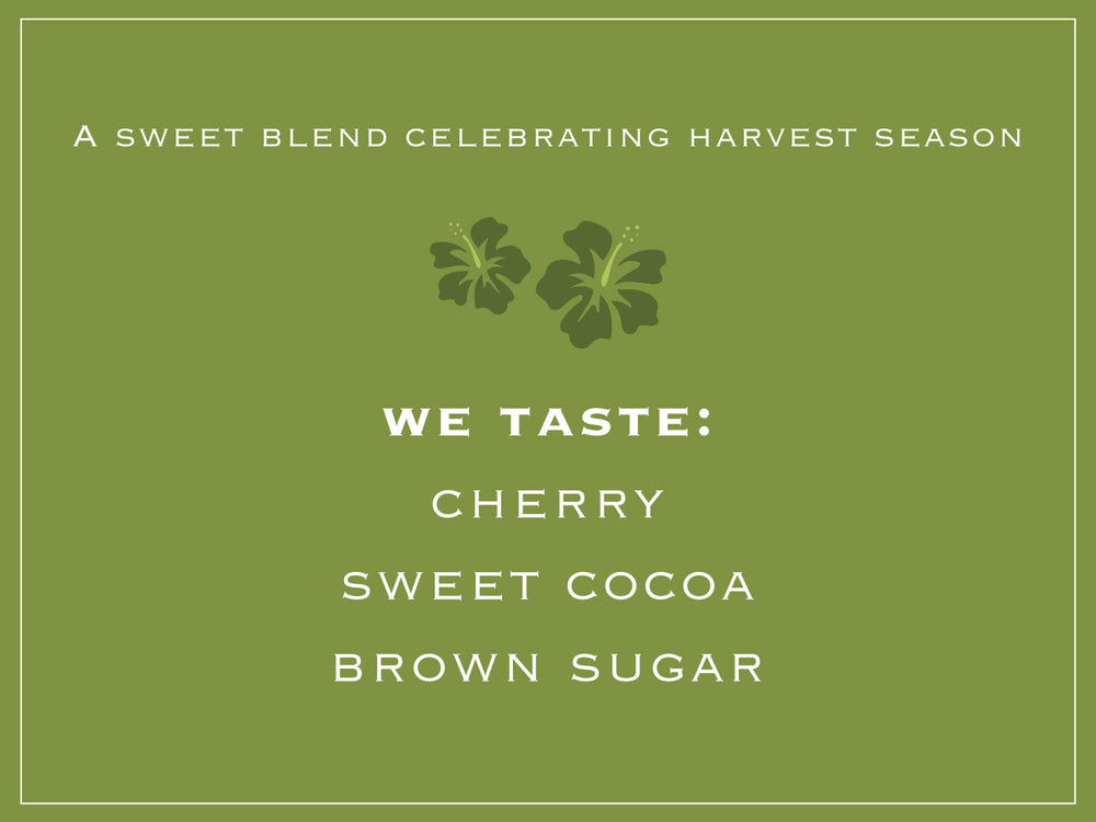 A sweet blend celebrating harvest season. WE TASTE: CHERRY, SWEET COCOA, BROWN SUGAR