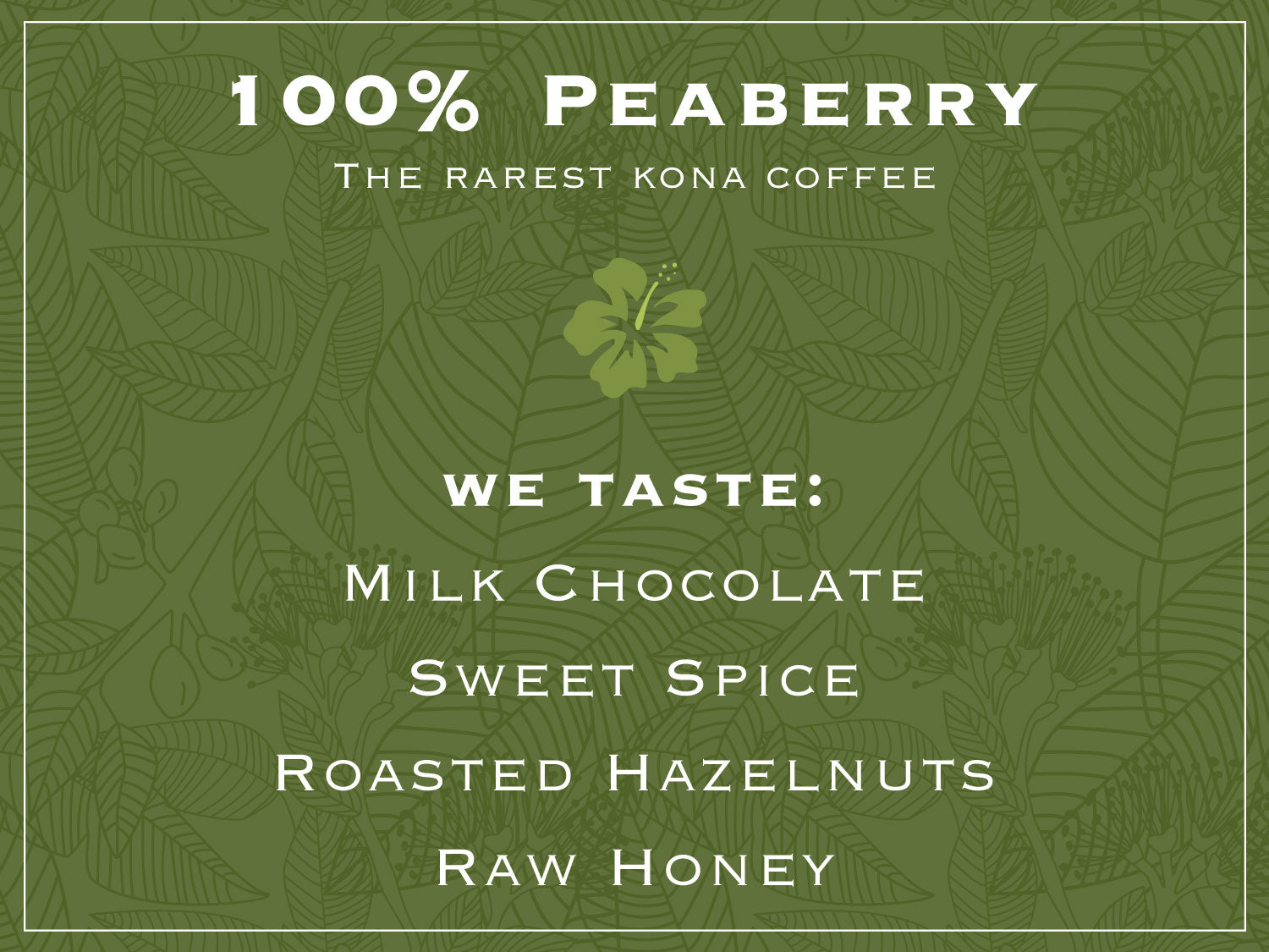 Taste Profile for 100% Kona Peaberry Coffee – The Rarest Kona Coffee. WE TASTE: MILK CHOCOLATE, SWEET SPICE, ROASTED HAZELNUTS, RAW HONEY