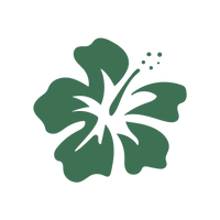 hibiscus flower icon