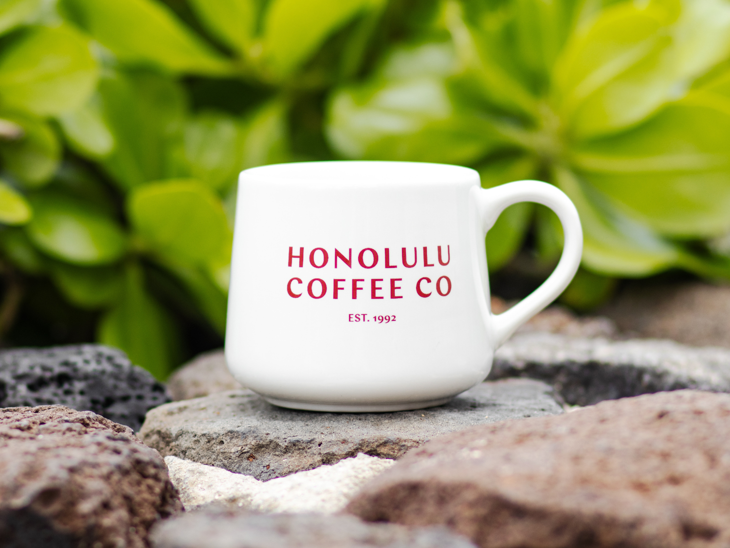 Honolulu Coffee ✖︎ MiiRマグカップ 蓋付き Merchandise | Honolulu Coffee