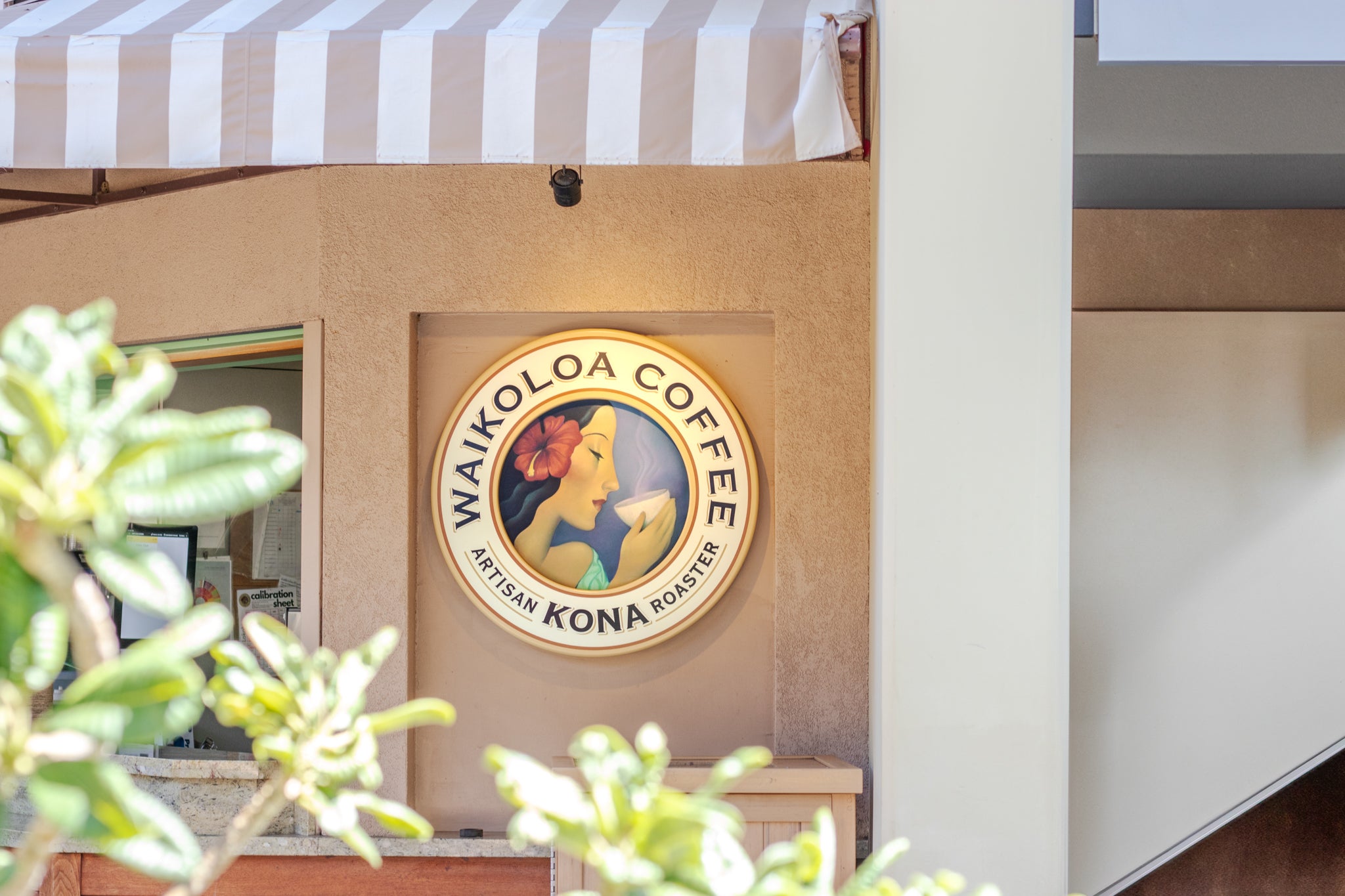 Waikoloa Coffee Kona logo on a wall with plants and an umbrella in the foreground