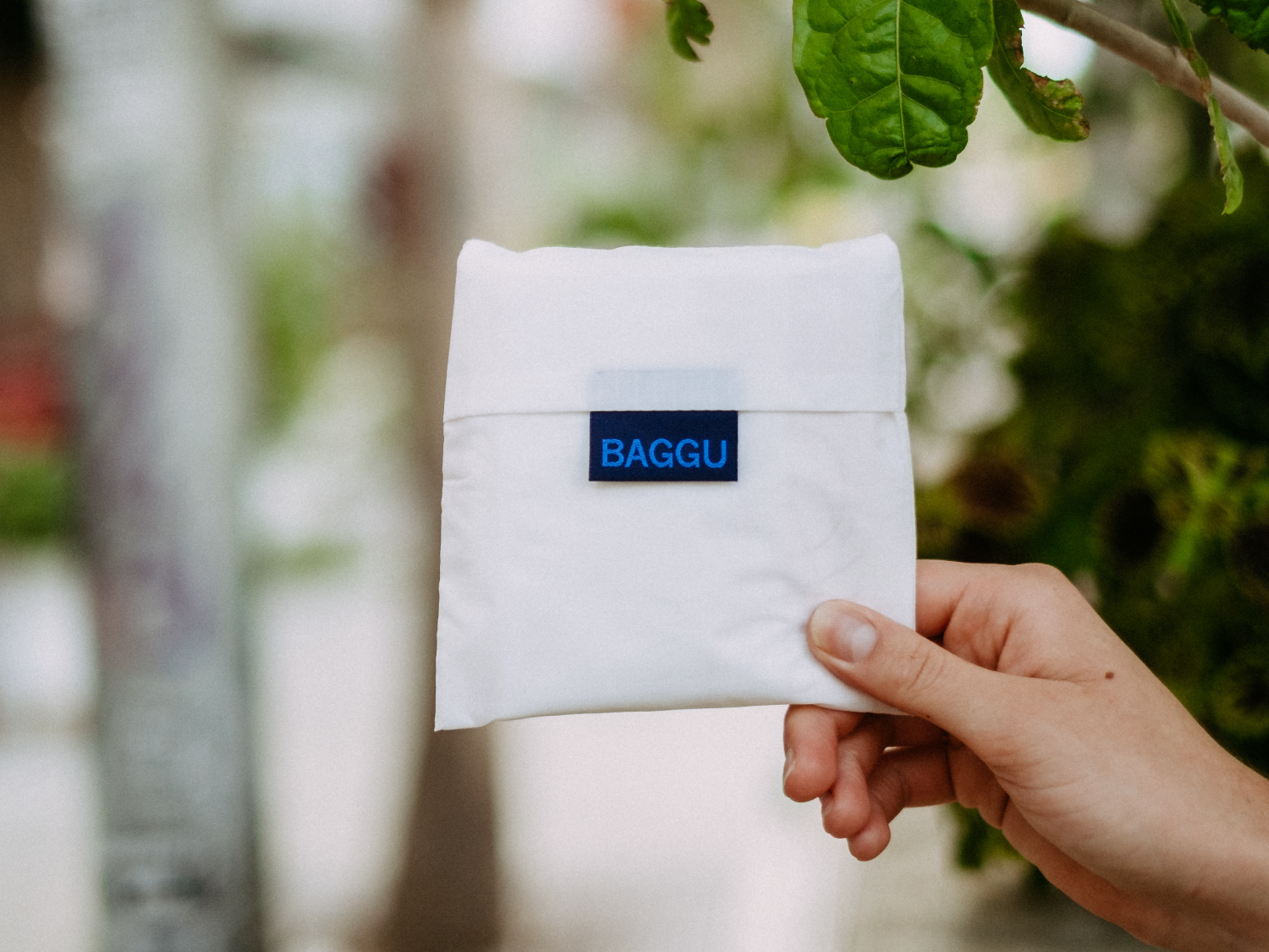 Baggu1.png